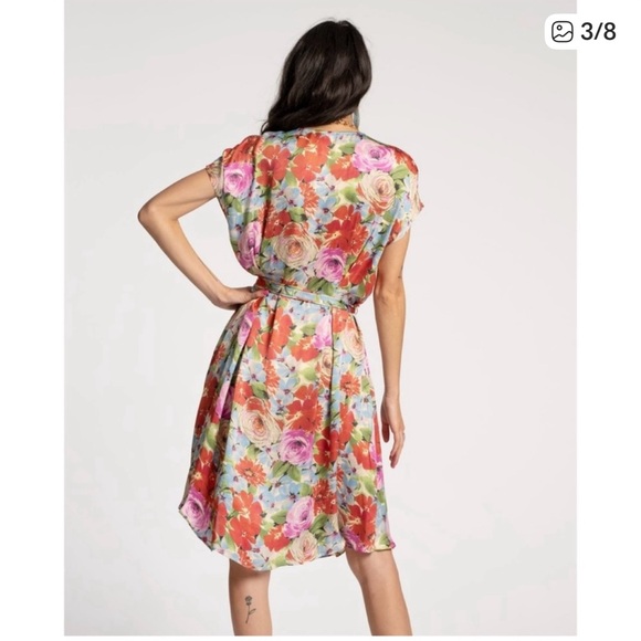 Frances Valentine Anna Slope Arm Dress with Pockets Rose print 2X - Picture 3 of 7